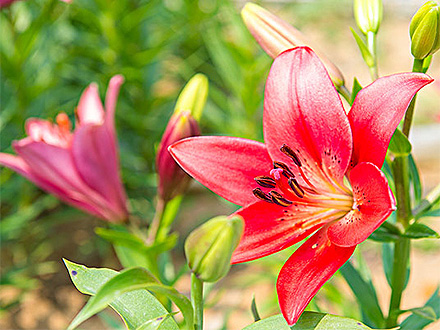 BOB体育APP产品展示一