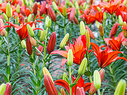 BOB体育APP产品展示七