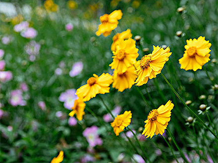 BOB体育APP客户案例三